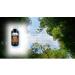 Reliable-1 Laboratories Senna Syrup 8oz - Natural Digestive Aid - Buy Online on GoSupps.com