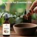 Fractionated Coconut Oil 4 oz - 100% Pure Organic Cold Pressed Unscented Liquid for Skin Hair & Massage - Ideal Carrier Oil for Aromatherapy - Buy Online on GoSupps.com