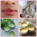24 Pack 2 Oz Screw Top Aluminum Tin Cans for Lip Balm, Cosmetics & Candles - Metal Storage Jars with Screw Cap for Makeup, Salve & Tea - Buy Online on GoSupps.com