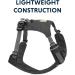 Luffwear Lightweight Dog Harness for Miniature Breeds | Adjustable XXXS - Twilight Gray Hi & Light Harness 3082-025S3 - Buy Online on GoSupps.com
