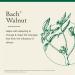Bach Original Flower Remedies Walnut - Adapt to Change - Natural Homeopathic Flower Essence for Emotional Balance - Vegan Gluten Free Sugar Free - 20mL Dropper - Buy Online on GoSupps.com