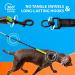 Premium Bungee Dog Leash for Large & Medium Dogs | Jerk Dampers & Reflective Elastic - Perfect for Walks (Green) - Buy Online on GoSupps.com