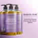 Majestic Pure Lavender Massage Oil - Calming, Soothing & Relaxing Therapy Blend for Men and Women - 8 fl oz - Buy Online on GoSupps.com