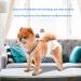 Tessveya 2-Piece Dog Wind Trousers & Diaper Harness | Female & Puppy Pet Clothing - Rainbow Blue L - Buy Online on GoSupps.com