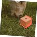 Happyyami 3pcs Lick Brick Box Feed Salt Block Tray Convenient Salt Blocks Rack Licking Bricks Supplies - Buy Online on GoSupps.com