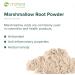 Mimea Marshmallow Root Powder | 1kg | Quality Ingredients | Herbal Remedy | Natural | No Additives | Tea Infusion 1 kg (Pack of 1) - Buy Online on GoSupps.com