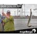 Angel Berger Worm Needle Set - 3 Brass Bait Needles for Lugworm & Fishing | Premium Quality Fishing Gear - Buy Online on GoSupps.com