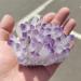 Natural Crystal Rough for Natural Purple Ghost Phantom Quartz Crystal Cluster Rock Stones and Crystals Home Deco (Size : 150-200g) - Buy Online on GoSupps.com