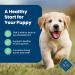 Blue Life Protection Formula Natural Dry Dog Food Puppy Lamb & Oatmeal 11.7kg Large Bag Puppy Lamb & Oatmeal - Buy Online on GoSupps.com