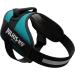 Buy IDC Powerharness L/1 - Petrol Green | Premium Pet Harness for Ultimate Comfort | International Shipping Available - Buy Online on GoSupps.com