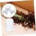 Yardwe 2pcs Ant Water Feeder Ant Habitat Ant House Mini Ant Nest Pet Feeder Transparent Acrylic - Buy Online on GoSupps.com