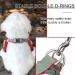 Rennaio No Pull Dog Harness & Leash Set | Adjustable Puppy Dishes with Linen Clips | Ultra Comfortable for Small & Medium Dogs - Red L - Buy Online on GoSupps.com