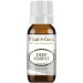 Deep Forest Essential Oil Blend 10 ml 100% Pure Undiluted Therapeutic Grade. Aromatherapy Respiratory System Support Air Purifier Natural Christmas Tree Scent