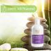 Lavender Massage & Body Oil - 12oz Soft Hydrating Nourishment | International Shipping Available - Buy Online on GoSupps.com