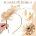 Lurrose Fascinators Hat Headband Women Tea Party Hair Clip 1920s Prom Queen Headpiece for Special Events Wedding Party (Golden) 22X18X5CM - Buy Online on GoSupps.com