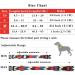 Heele Dog Collar - Adjustable Patterned Collars for Small Medium & Large Dogs | Comfortable & Robust (34-53cm 2cm Width) - Buy Online on GoSupps.com