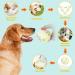 Indestructible Rubber Dog Ball Toys - Durable Interactive Training Balls for Small Medium & Large Dogs (2 Pieces) - Buy Online on GoSupps.com