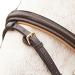 Buy Star WALDHAUSEN Bridle Diamond Brown for Warmbloods | Premium Quality Equestrian Gear Worldwide Shipping - Buy Online on GoSupps.com