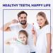 Shield Care Toothbrush Dual Pro - Expert Care Soft Bristles - Anti-Slip Grip - Adult - 4 Count - Yellow Red Blue Green - Buy Online on GoSupps.com