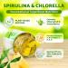Organic Spirulina Chlorella Gummies Super Greens Blend with Protein Chlorophyll Vitamin C D3 B12 Zinc Supports Daily Energy Immune System & Antioxidant Intake Pineapple Flavor 60 Count 60 Count (Pack of 1) - Buy Online on GoSupps.com