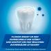 Odol-Med3 Caries Protection Toothpaste - 24-Hour Sugar Acid Defense for Family - 125ml - Buy Online on GoSupps.com