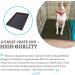 Medium Plastic Replacement Tray for Dog Crate Pan - Fits 24 Crates - Pet Cage Liner for Dogs, Cats, Rabbits, and Ferrets - Buy Online on GoSupps.com