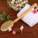 YVPSI Shower Back Brush with Soft and Stiff Bristles - Long Handle Exfoliating Scrubber for Body, Back, and Feet - Women and Men - Buy Online on GoSupps.com