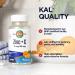 KAL Zinc Plus C Instant Dissolve Vitamin C and Zinc | Cellular Function and Immune Support | Natural Tangerine Flavor | 90 Servings | 90 Micro Tablets - Buy Online on GoSupps.com