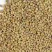 Organic Certified Alfalfa Sprout Seeds - 16 Oz - Perfect for Sprouting - Buy Online on GoSupps.com