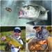 Flat Method Feeder Set - 5PC Inline Fishing Accessories with Bait Box | 20g 30g 40g 50g 60g Carp Feeder for Basic Fishing - Buy Online on GoSupps.com