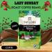 Taylors Coffee Pick N Mix - Create Custom Combo with 6+ Flavours |Brasilia Hot Lava Java Rich Italian Beans | Gift Set for Coffee Lovers Pack 2 x 200g 200 g (Pack of 2) - Buy Online on GoSupps.com