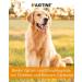 Vetoquinol Ipakitine Powder 300g - Renal Health Supplement for Cats & Dogs - Fast International Shipping - Buy Online on GoSupps.com