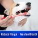 Virbac CET Enzymatic Toothpaste for Pets | Eliminates Bad Breath, Plaque & Tartar | Poultry Flavor Dental Care - Buy Online on GoSupps.com