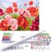 BAISITE Paint by Numbers for Adults Beginners and Kids 16 Wx20 L Canvas Pictures Drawing Paintwork with 4 Pcs Wooden Paintbrushes Acrylic Pigment Poppy Flowers-BSC011 HXL-BSC001-1