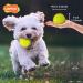 Laroo Dog Toys - Durable Natural Rubber Squeaker Football for Small & Large Dogs (6.5cm Green) - International Shipping Available - Buy Online on GoSupps.com