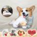Dog Toy Plush Toy Comfortable Behavioral Training Aid Toy Heart Beat Soothing Plush Doll Sleep Dog Sleep Aid Plush Toy Behavioral Training Aid Toy Sleeping Aid Toy for Smart Dogs Cats (B: Puppies) - Buy Online on GoSupps.com