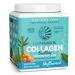Sunwarrior Collagen Building Protein Peptides Natural 17.6 oz (500 g)