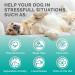 Premium Care Hemp Calming Chews for Dogs | Made in USA | 120 Count Duck Flavor - Anxiety Relief for Dogs, Separation, Barking, Stress, Thunderstorms | 9.3 oz - Buy Online on GoSupps.com