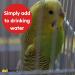 AVI-MITE Red Mite Liquid for Cage & Aviary Birds - Simply add to drinking water (50ml) - Buy Online on GoSupps.com