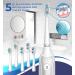 Sonic Electric Toothbrush for Adults with 5 Replacement Heads, 3 Modes & Timer | Rechargeable Travel Toothbrush - White - Buy Online on GoSupps.com
