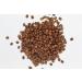 Dear Donna | Brazilian Speciality Whole Bean Coffee | Expresso Cafetiere Filter | Suitable for Milk Coffee | Sweet with notes of Orange and milk chocolate | 250 gr - Buy Online on GoSupps.com