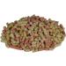 Supa Mixed Suet Pellets for Wild Birds 3 Litre Bucket High Energy Protein Rich Treat For Garden Birds Attract More Birds To Your Garden Quality Wild Bird Food package may vary - Buy Online on GoSupps.com