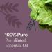 Plant Therapy Aged Dark Patchouli Essential Oil Roll-On 10 mL (1/3 oz) Pre-Diluted in Fractionated Coconut Oil Long-Lasting Personal Fragrance 100% Pure Natural Expertly Aged for Depth Rich Aroma - Buy Online on GoSupps.com