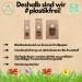 Buy Organic Golden Linseed 1.0 kg - Untreated Plastic-Free & Eco-Friendly | s ssundclever.de  - Buy Online on GoSupps.com