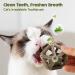 Potaroma Catnip Toys - Silvervine Stick, Cage Balls & Bell Ball for Indoor Cats - Matatabi Cat Chew Toy - 3 Cage Balls - Buy Online on GoSupps.com