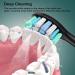 Toothbrush Replacement Heads for Philips Sonicare | Electric Brush Compatible with Click-on/Snap-on Models | International Shipping Available - Buy Online on GoSupps.com