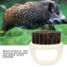 Buy Wild Boar Fur Beard Trim Brush - Softens & Tames Facial Hair | Best Men's Grooming Tool - Buy Online on GoSupps.com