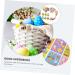 Ciieeo Easter Card Set - Craft Kits & Decorations | Easter Ornaments & Cross Crafts for Kids - Buy Online on GoSupps.com