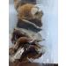 Seweryn Dried Porcini Mushrooms 100g - GMO Free Borowik Szlachetny Whole Caps String - Imported from Poland - Buy Online on GoSupps.com