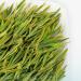 100g th blanc naturel Anji Bon th vert bio printemps chinois en vrac